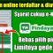 Findaya merupakan salah satu layanan pembiayaan digital yang memberikan kemudahan bagi masyarakat dalam memperoleh akses dana secara online